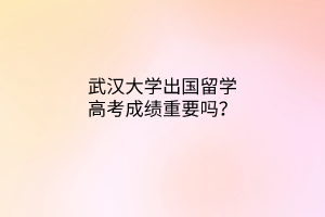 武漢大學(xué)出國留學(xué)高考成績重要嗎？