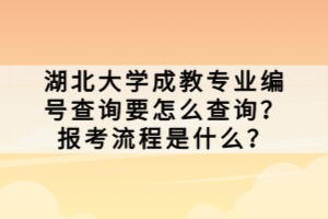 湖北大學(xué)成教專(zhuān)業(yè)編號(hào)查詢(xún)要怎么查詢(xún)？報(bào)考流程是什么？