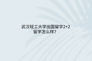 武漢輕工大學出國留學2+2留學怎么樣？