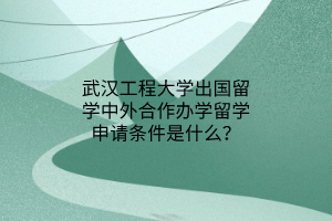 武漢工程大學出國留學中外合作辦學留學申請條件是什么？