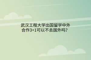 武漢工程大學(xué)出國(guó)留學(xué)中外合作3+1可以不去國(guó)外嗎？