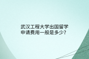 武漢工程大學(xué)出國(guó)留學(xué)申請(qǐng)費(fèi)用一般是多少？