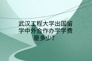 武漢工程大學(xué)出國留學(xué)中外合作辦學(xué)學(xué)費(fèi)是多少？