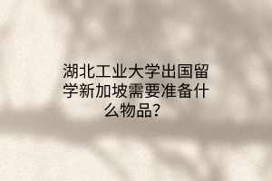 湖北工業(yè)大學(xué)出國留學(xué)新加坡需要準(zhǔn)備什么物品？