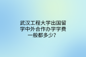 武漢工程大學(xué)出國留學(xué)中外合作辦學(xué)學(xué)費(fèi)一般都多少？