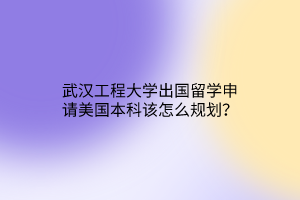 武漢工程大學出國留學申請美國本科該怎么規(guī)劃？