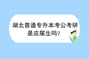 湖北普通專升本考公考研是應(yīng)屆生嗎？