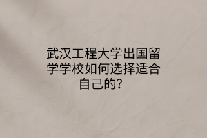 武漢工程大學(xué)出國留學(xué)學(xué)校如何選擇適合自己的？