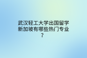 武漢輕工大學(xué)出國留學(xué)新加坡有哪些熱門專業(yè)？