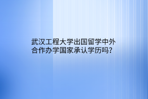 武漢工程大學(xué)出國留學(xué)中外合作辦學(xué)國家承認(rèn)學(xué)歷嗎？