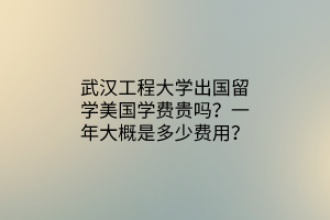 武漢工程大學(xué)出國留學(xué)美國學(xué)費(fèi)貴嗎？一年大概是多少費(fèi)用？