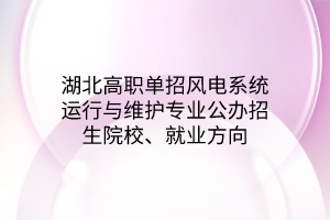 湖北高職單招風(fēng)電系統(tǒng)運行與維護(hù)專業(yè)公辦招生院校、就業(yè)方向