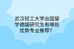 武漢輕工大學(xué)出國留學(xué)德國研究生有哪些優(yōu)勢專業(yè)推薦？