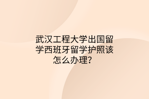 武漢工程大學出國留學西班牙留學護照該怎么辦理？