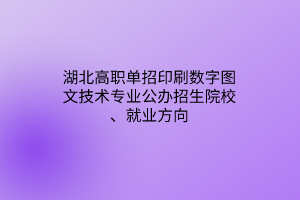 湖北高職單招印刷數(shù)字圖文技術(shù)專業(yè)公辦招生院校、就業(yè)方向