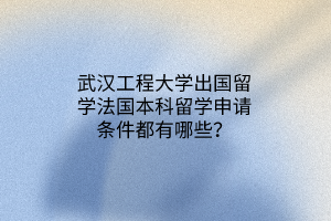 武漢工程大學(xué)出國(guó)留學(xué)法國(guó)本科留學(xué)申請(qǐng)條件都有哪些？