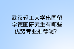 武漢輕工大學(xué)出國(guó)留學(xué)德國(guó)研究生有哪些優(yōu)勢(shì)專(zhuān)業(yè)推薦呢？