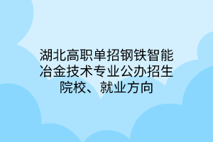 湖北高職單招鋼鐵智能冶金技術(shù)專業(yè)公辦招生院校、就業(yè)方向