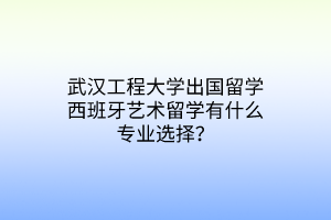 武漢工程大學(xué)出國留學(xué)西班牙藝術(shù)留學(xué)有什么專業(yè)選擇？