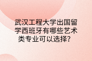 武漢工程大學(xué)出國(guó)留學(xué)西班牙有哪些藝術(shù)類專業(yè)可以選擇？