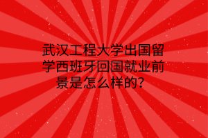 武漢工程大學(xué)出國(guó)留學(xué)西班牙回國(guó)就業(yè)前景是怎么樣的？