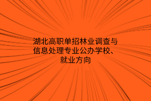 湖北高職單招林業(yè)調(diào)查與信息處理專業(yè)公辦學(xué)校、就業(yè)方向