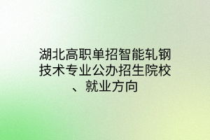 湖北高職單招智能軋鋼技術專業(yè)公辦招生院校、就業(yè)方向