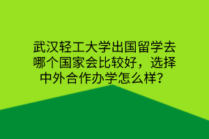 武漢輕工大學出國留學去哪個國家會比較好，選擇中外合作辦學怎么樣？