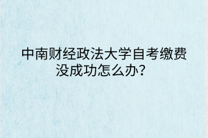 中南財(cái)經(jīng)政法大學(xué)自考繳費(fèi)沒(méi)成功怎么辦？