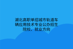 湖北高職單招城市軌道車輛應用技術(shù)專業(yè)公辦招生院校、就業(yè)方向