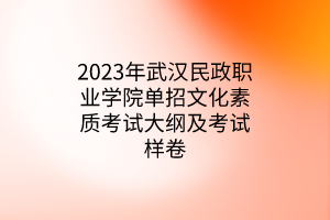 2023年武漢民政職業(yè)學(xué)院單招文化素質(zhì)考試大綱及考試樣卷