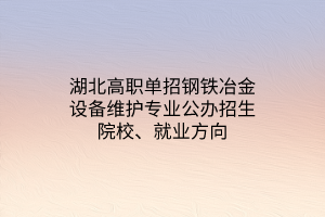 湖北高職單招鋼鐵冶金設(shè)備維護(hù)專業(yè)公辦招生院校、就業(yè)方向