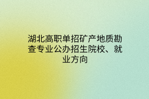 湖北高職單招礦產(chǎn)地質(zhì)勘查專業(yè)公辦招生院校、就業(yè)方向