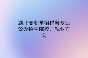 湖北高職單招稅務專業(yè)公辦招生院校、就業(yè)方向