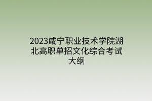 2023咸寧職業(yè)技術學院湖北高職單招文化綜合考試大綱