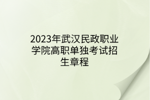 2023年武漢民政職業(yè)學(xué)院高職單獨考試招生章程