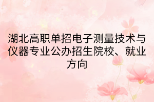 湖北高職單招電子測量技術(shù)與儀器專業(yè)公辦招生院校、就業(yè)方向