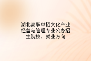 湖北高職單招文化產業(yè)經營與管理專業(yè)公辦招生院校、就業(yè)方向