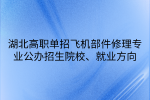 湖北高職單招飛機(jī)部件修理專業(yè)公辦招生院校、就業(yè)方向