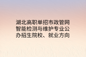 湖北高職單招市政管網(wǎng)智能檢測與維護專業(yè)公辦招生院校、就業(yè)方向