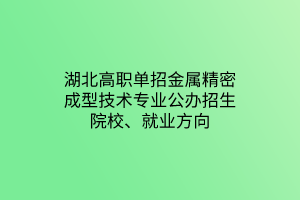 湖北高職單招金屬精密成型技術(shù)專業(yè)公辦招生院校、就業(yè)方向