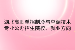 湖北高職單招制冷與空調技術專業(yè)