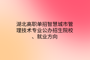 湖北高職單招智慧城市管理技術(shù)專業(yè)公辦招生院校、就業(yè)方向