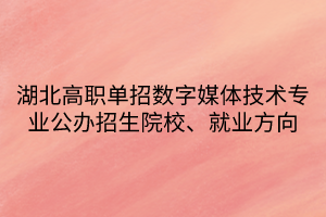 湖北高職單招數(shù)字媒體技術專業(yè)公辦招生院校、就業(yè)方向