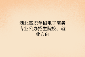 湖北高職單招電子商務(wù)專業(yè)公辦招生院校、就業(yè)方向