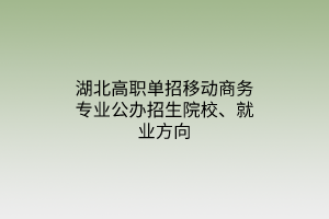 湖北高職單招移動商務專業(yè)公辦招生院校、就業(yè)方向