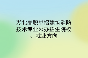 湖北高職單招建筑消防技術(shù)專業(yè)公辦招生院校、就業(yè)方向