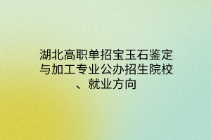 湖北高職單招寶玉石鑒定與加工專業(yè)公辦招生院校、就業(yè)方向