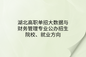 湖北高職單招大數(shù)據(jù)與財務(wù)管理專業(yè)公辦招生院校、就業(yè)方向