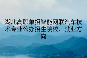 湖北高職單招智能網(wǎng)聯(lián)汽車(chē)技術(shù)專(zhuān)業(yè)